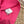Chanel 26SS Top en maille à manches courtes rose en coton 161789