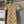 Burberry Short-sleeved Shirt Dress Beige Yellow in Twill Cotton 169205