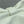 Dior 26 Bow Chain Bag in White Lambskin
