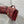 Dior Pochette 26 Bow Pearl Chain En Agneau Glacé Bordeaux GHW