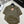 Miu Miu 26 Crew Neck Short-Sleeve Top Olive Green in Wool 191269