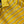 T-shirt en coton tricoté rayé jaune à manches courtes Miu Miu 221234