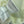 Gilet Chanel blanc en coton nitrile 262287