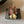 Chanel 26SS Color-Blocked Slingback Gold Black in Lambskin 708083