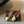 Chanel 26SS Color-Blocked Slingback Gold Black in Lambskin 708083
