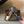 Chanel 26SS Color-Blocked Slingback Gold Black in Lambskin 708083