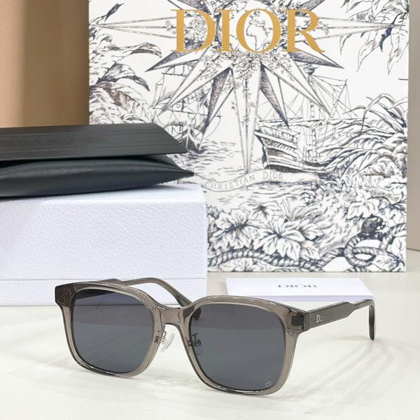 Dior Ribbon S1F Sunglasses