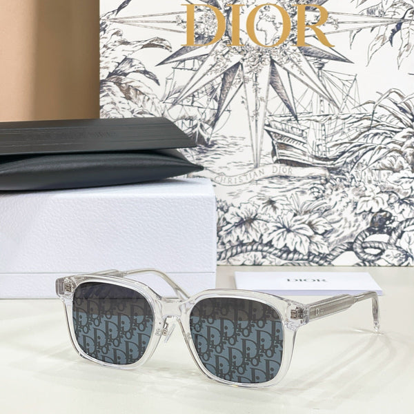 Dior Ribbon S1F Sunglasses