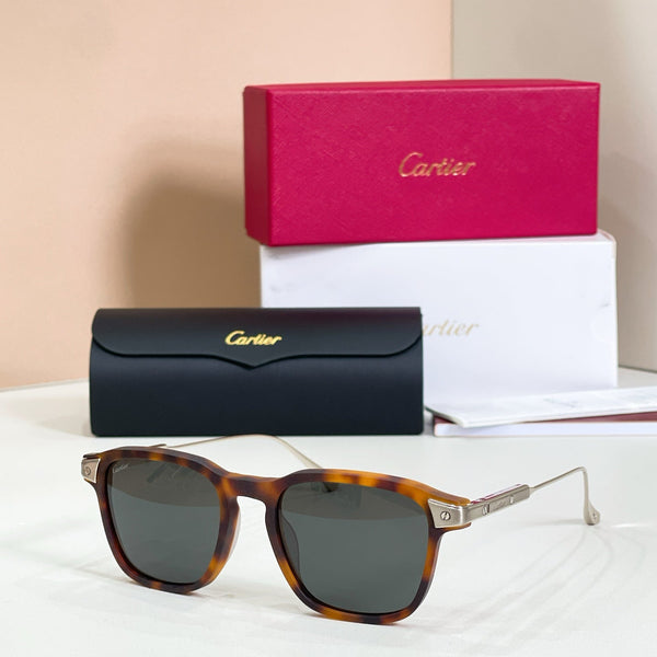 Cartier CT0075S-002 Havana Gold Sunglasses