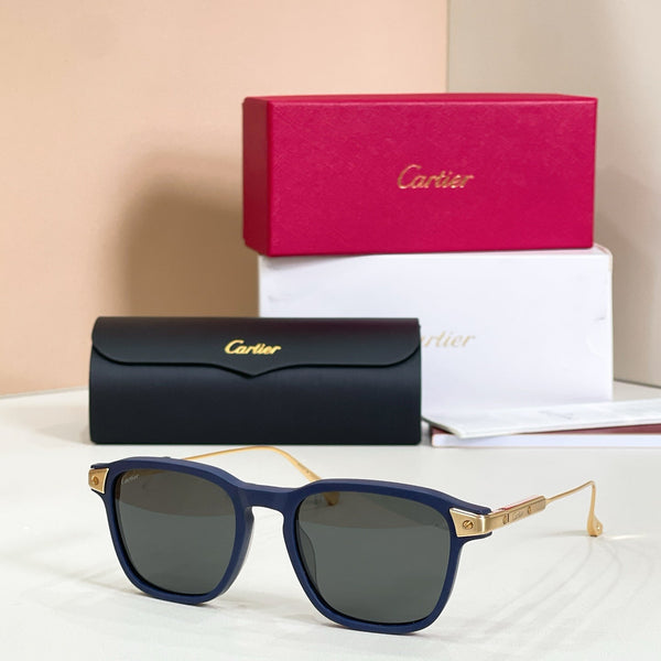 Cartier CT0075S-002 Havana Gold Sunglasses