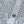 Chanel Embroidered Hollow-Out Cardigan White in Cotton 298306
