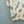 Gucci Short-sleeve Top White in Wool 323131