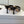 Dior 26 Sandal 70mm Black in Cowhide 727963