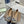 Burberry Classic Check Flats Beige in Fabric 729742