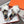 Hermes H-Style Flat Open-Toe Sandals White in Mink Fur 739514