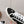 Chanel 26 Round Toe Color Block Black White in Canvas 739431