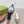 Gucci 26 Slingback 45mm Embossed Single Beige Brown in Jacquard Fabric 739364