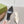 Gucci 26 Slingback 45mm Embossed Single Ivory in Lamskin 739363