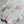 Dior Pink Printed Shirt in Cotton 376600