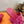 HM Sandale Rose en Daim 743982