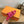 HM Sandale Rose en Daim 743982