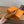 HM 26 Majeste 45 Pump Brown in Cowhide 744115
