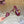 Loew 26 Sandale 45 Bourgogne en cuir de vachette 749388