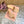 MM Pointed-Toe High Heels 85 Beige in Sheepskin 749060