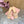 MM Pointed-Toe High Heels 85 Beige in Sheepskin 749060