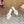 MM Pointed-Toe High Heels 85 White in Sheepskin 749058