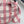 BBR Checkered Short-Sleeve Shirt Dress Pink in Polyester 378866