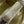CD Toujours Vertical 18cm Gold in Cowhide 286394