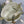CD Toujours Vertical 18cm White in Cowhide 286396