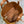 CD Toujours Vertical 28.5cm Brown in Suede 286488
