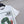 CD 26 Crew Neck Short-sleeved T-shirt White in Cotton 379662