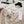 CD Knit Short-Sleeve T-Shirt Beige in Mulberry silk 379365