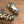 CC 26 Polka Dot Mary Janes Beige in Horsehair 756089