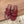CC 26 Sandale Bourgogne en Cuir de Vachette 748527