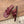 CC 26 Sandale Bourgogne en Cuir de Vachette 748527