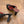 CC 26 Coco Beach Mules 80mm Black in Mesh 757984