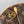 LV Loop Baguette Bag 23cm Brown in Cowhide 286672