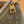 LV Coussin Bag 26 Greige in Cotton Denim 287007