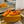 LV Slingback Heel 50mm Orange in Patent Leather 769028