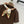 LP Metal Buckle Square Scarf and T-shirt Brown in Cotton