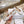 CD Ballet Flats White in Grit 771783
