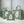 CD Book Tote Green in Canvas 288099