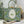 CD Book Tote Green in Canvas 288099