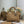 CD Diorissimo Brown in Cowhide 288184