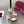GG Buckle Stiletto Round Toe Heel Height 85mm White in Calfskin 784465
