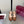 GG Buckle Stiletto Round Toe Heel Height 85mm Brown in Calfskin 784464